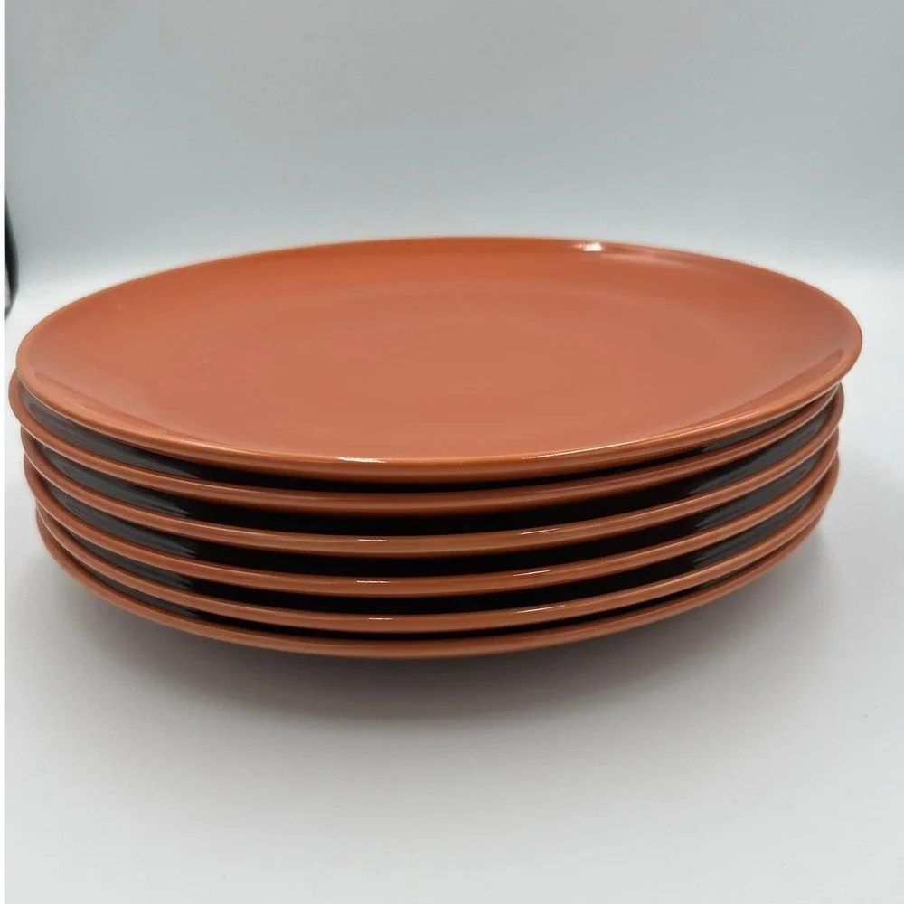 IKEA Dinner Plates Set of 6 10in Rust Orange Very Good Fargklar 15199-1